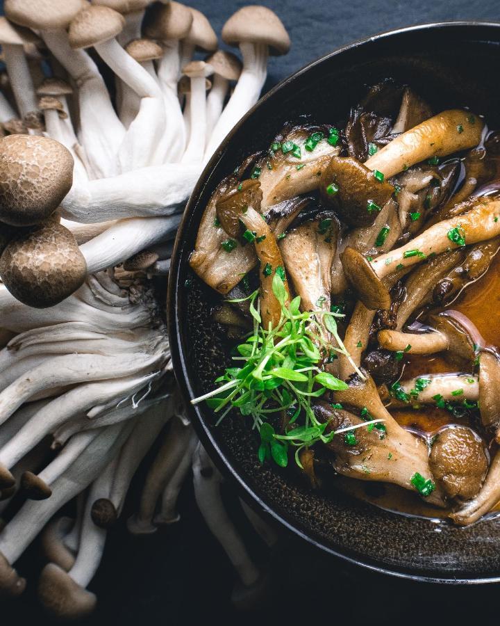 Winchester Inn Ashland Ngoại thất bức ảnh